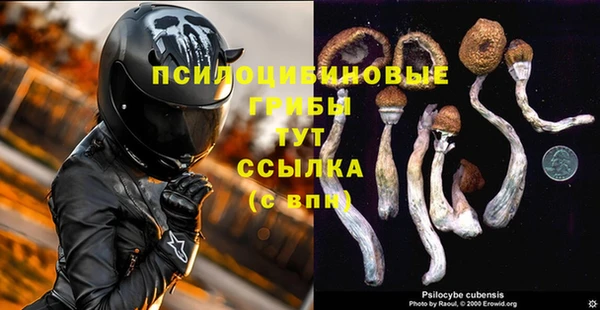 амфетамин Дмитриев