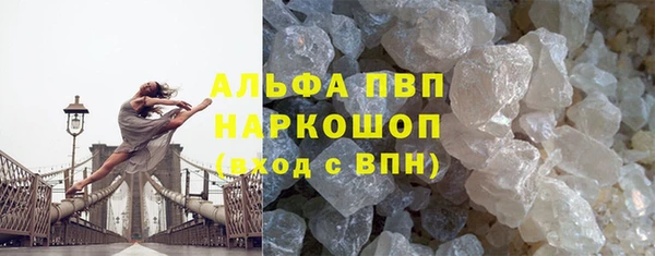 прущие крисы Гусев