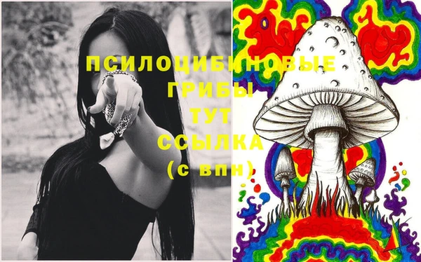 марки nbome Дмитровск