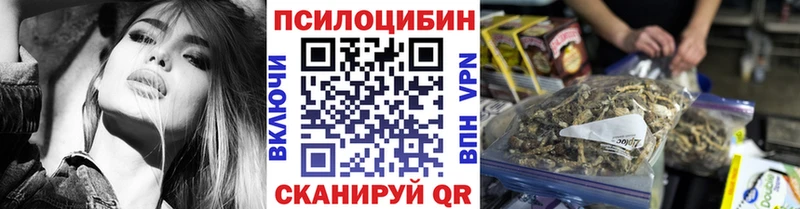 Купить  Тотьма  Галлюциногенные грибы Cubensis 
